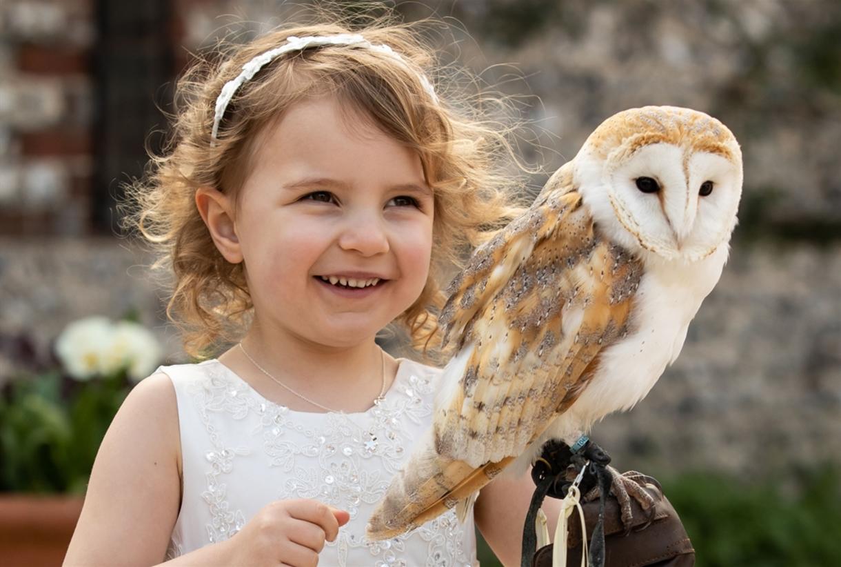 Barn owl ring hotsell