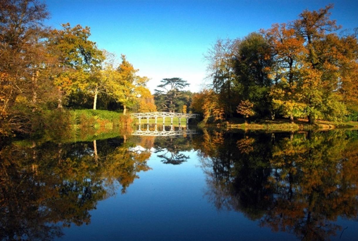 Painshill Park Cobham Surrey