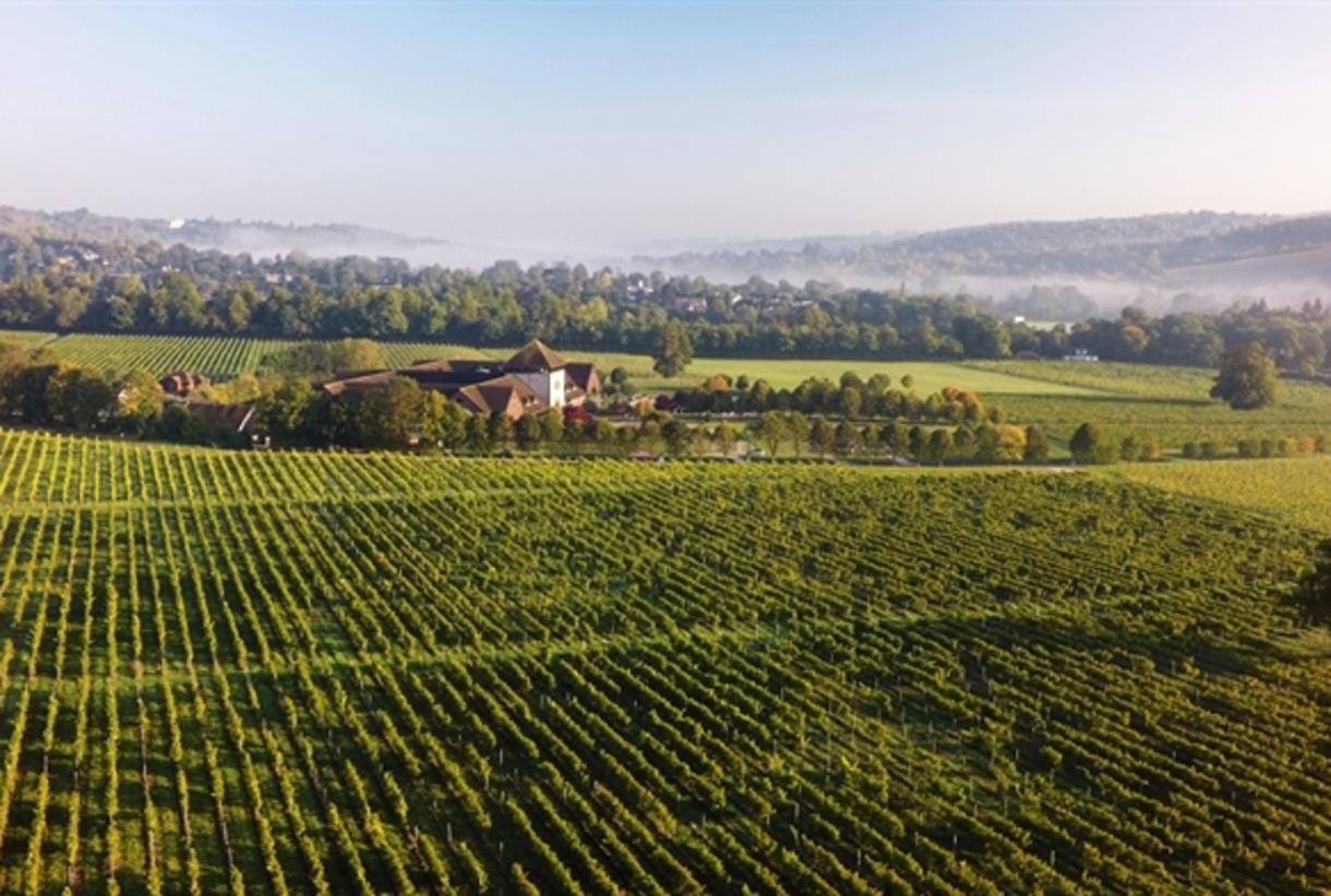 Denbies sales