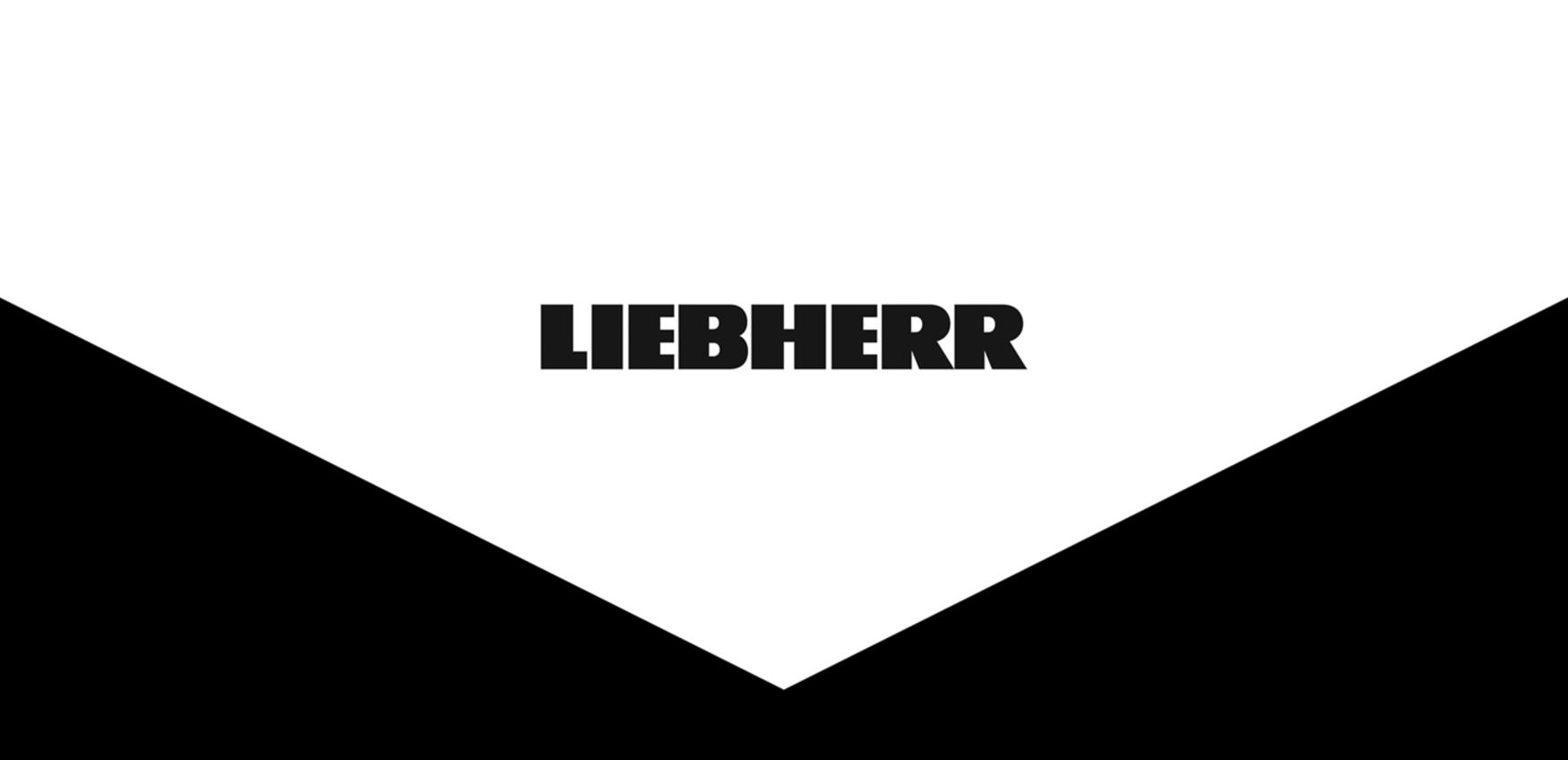 Person: Hans Liebherr