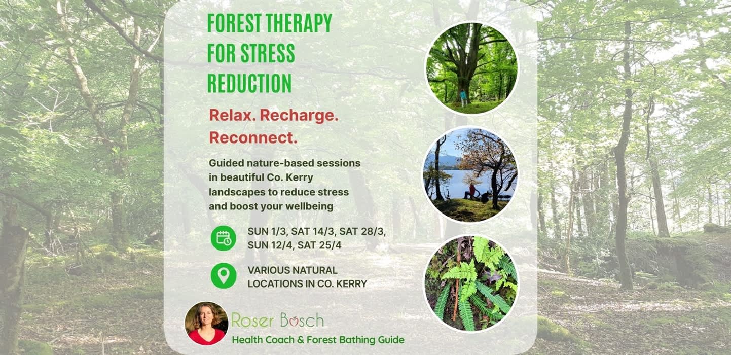 Forest Therapy for Stress Reduction