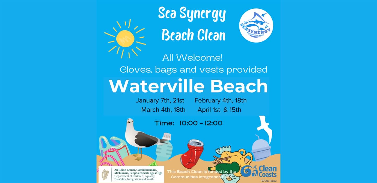Sea Synergy Beach Cleans