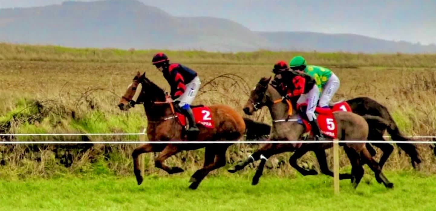 Ballyheigue Races