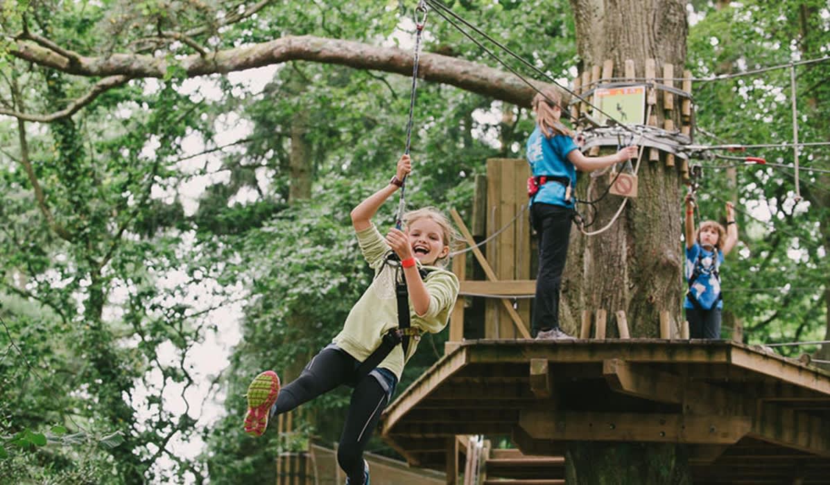 Go Ape Cannock