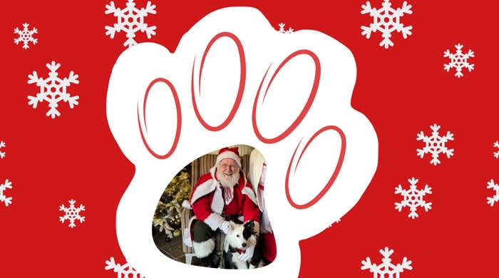 Santa Paws
