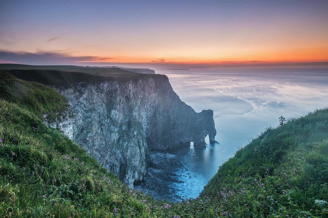 RSPB Bempton Cliffs