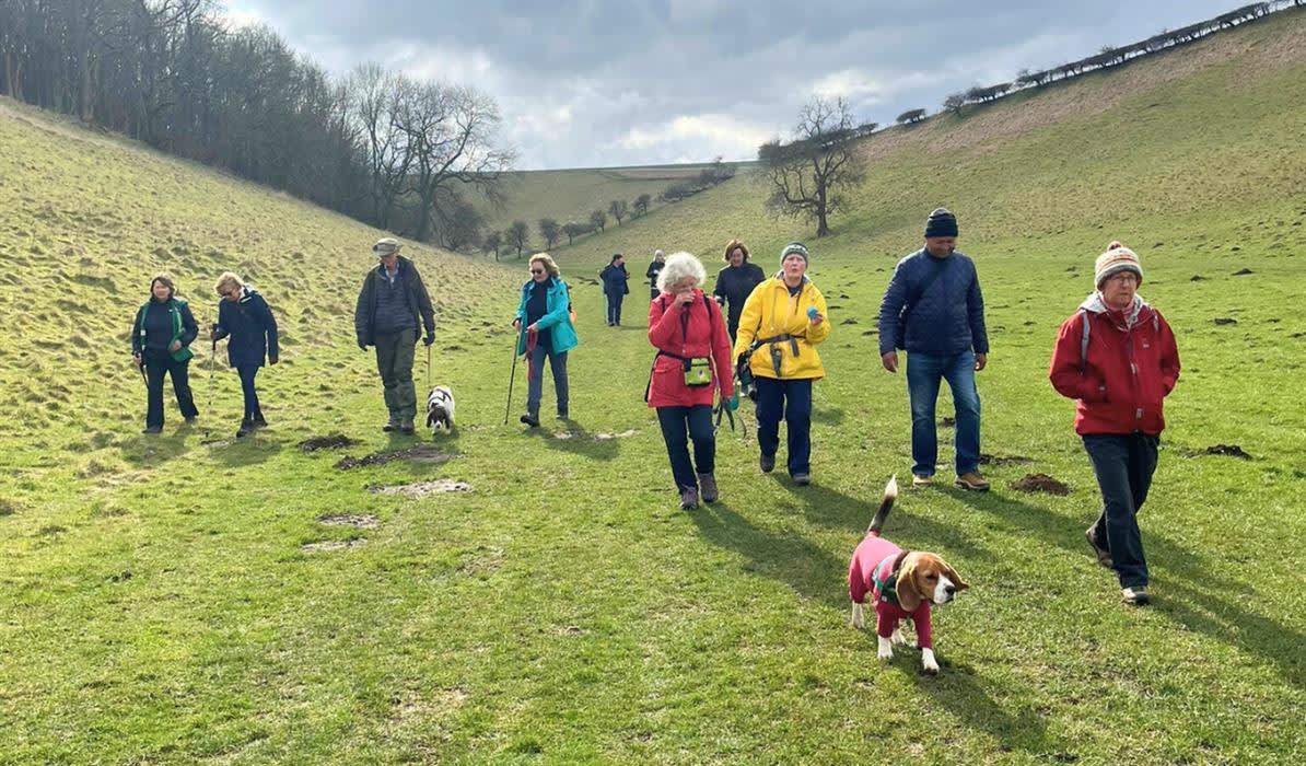 Health and wellbeing weekend for you and your dog!