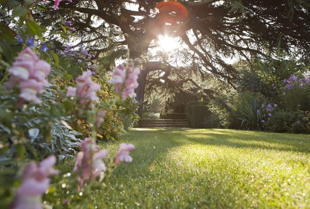 Golden Hour evening: late-opening event