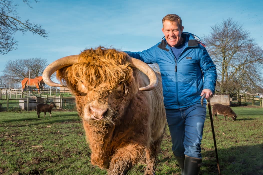 Highland Cow Weekend at Cotswold Farm Park