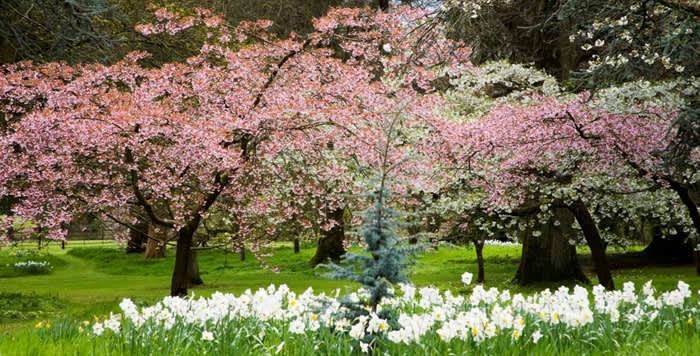 Batsford Arboretum & Garden Centre