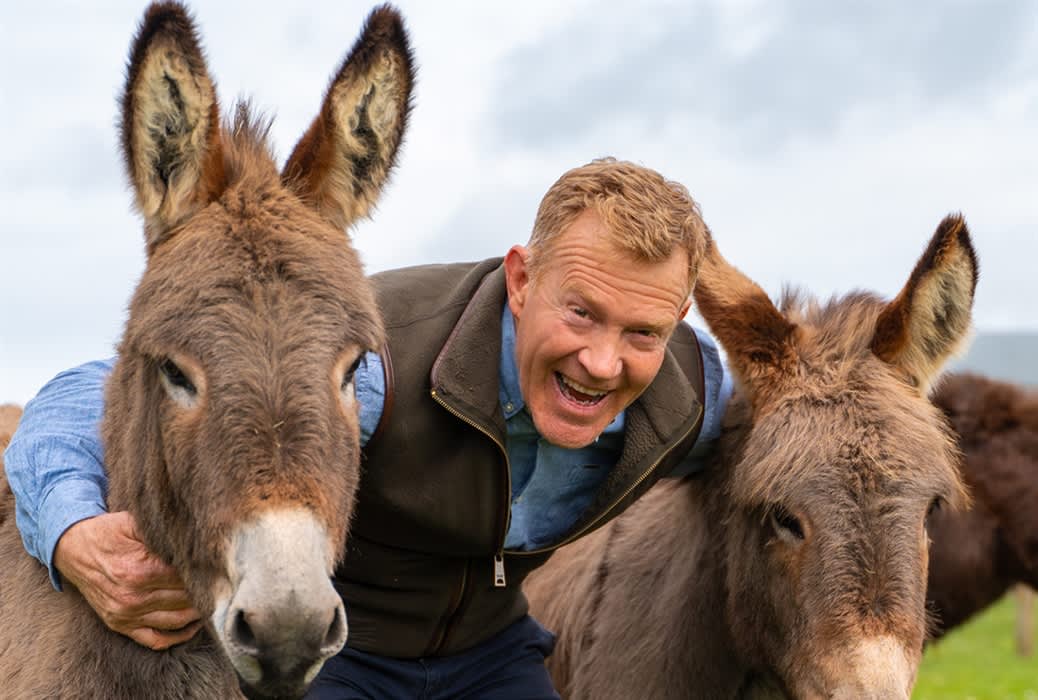 Donkey & Friends Weekend