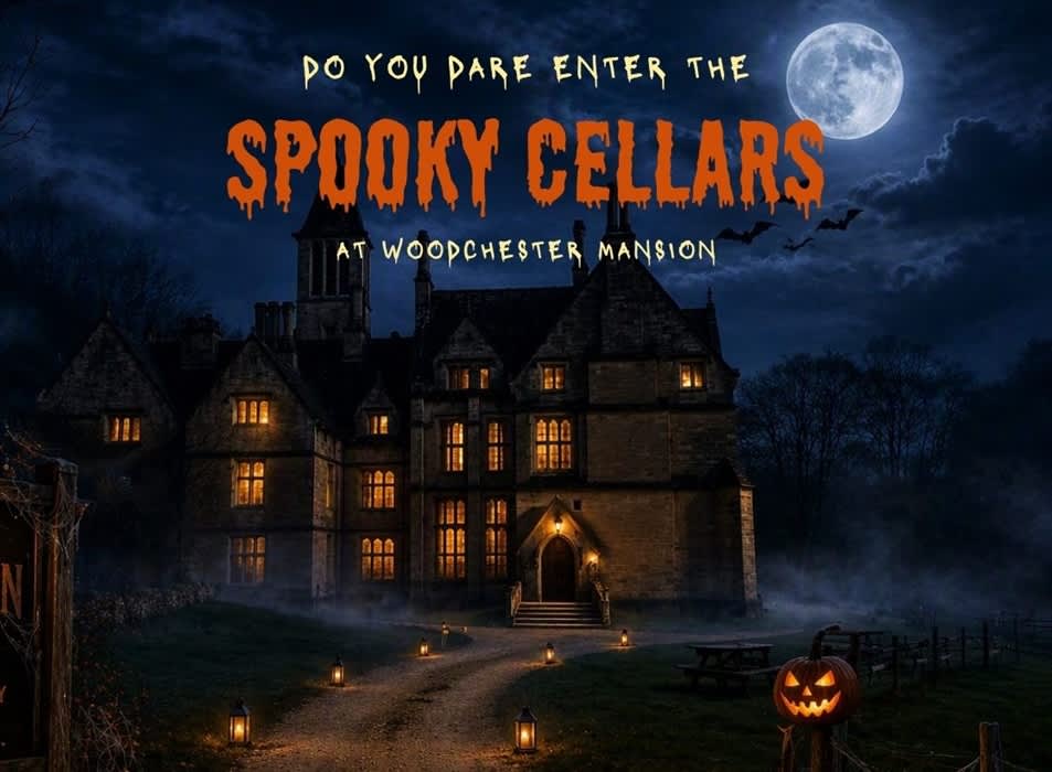 Spooky Cellars at Woodchester Mansion