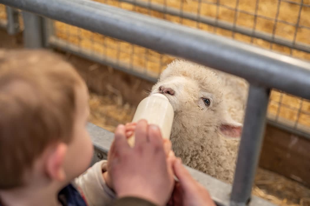 Bottle Feeding