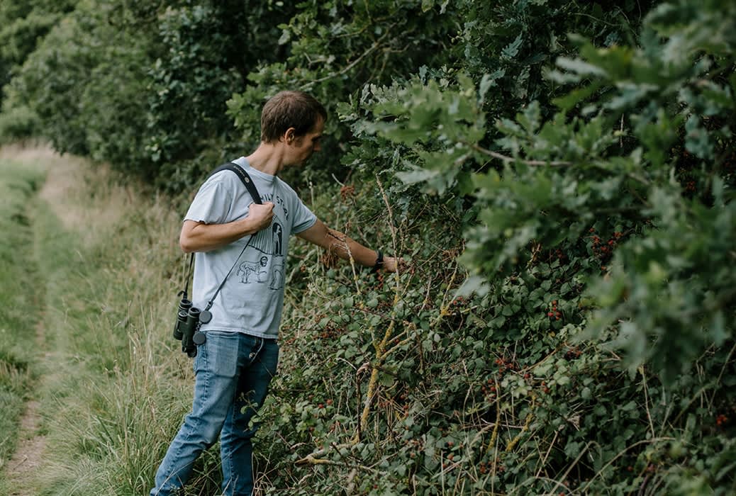 Summer Foraging Farm Walk