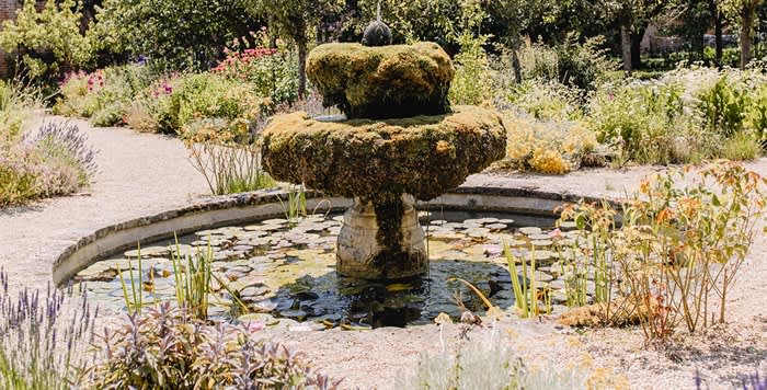 Herbs at Highgrove Tour
