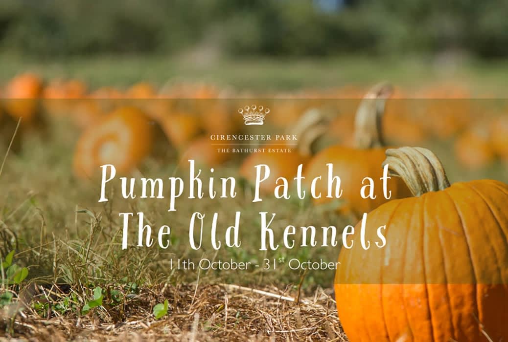 Pumpkin Patch at The Old Kennels