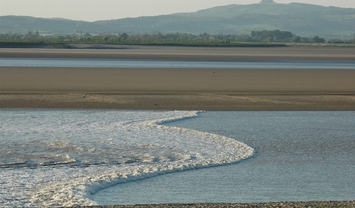 Severn Bore Safari