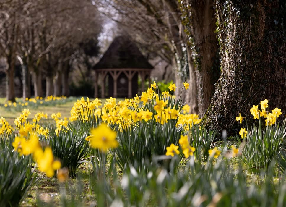 Spring Walks at Highgrove