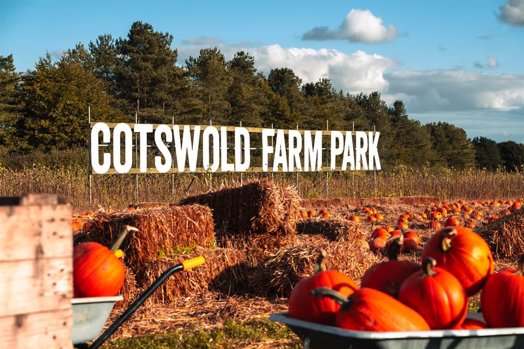 PYO Pumpkin Patch