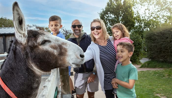 The Donkey Sanctuary