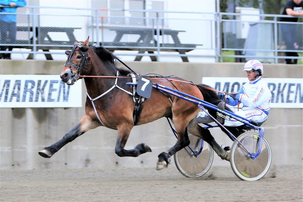 Momarken Travbane, Mysen