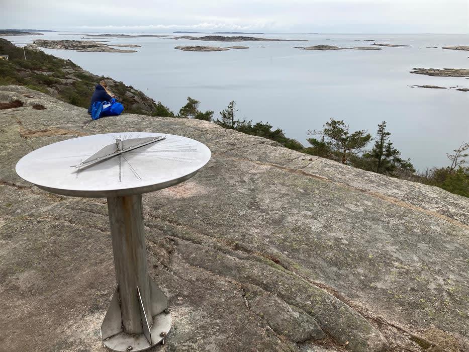 Blåsopp | Slevik | Fredrikstad