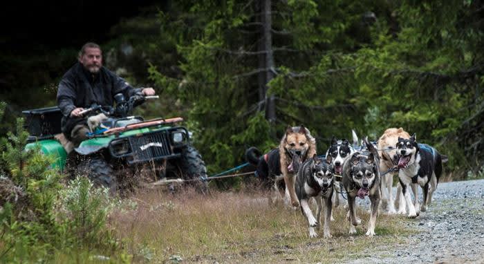 Hundekjøring med Hundefolket på Teppa