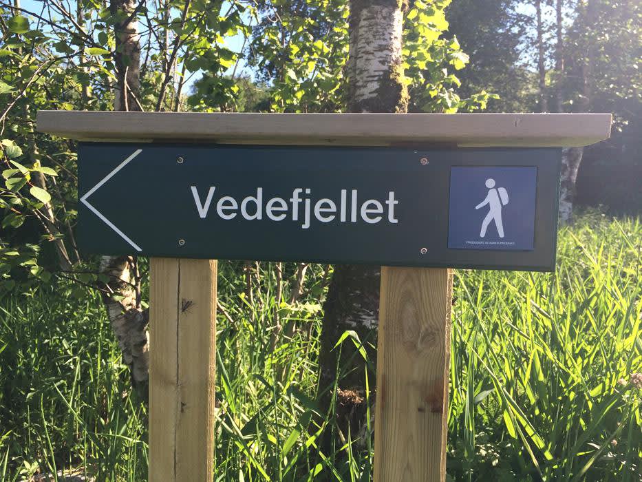 Vedefjell
