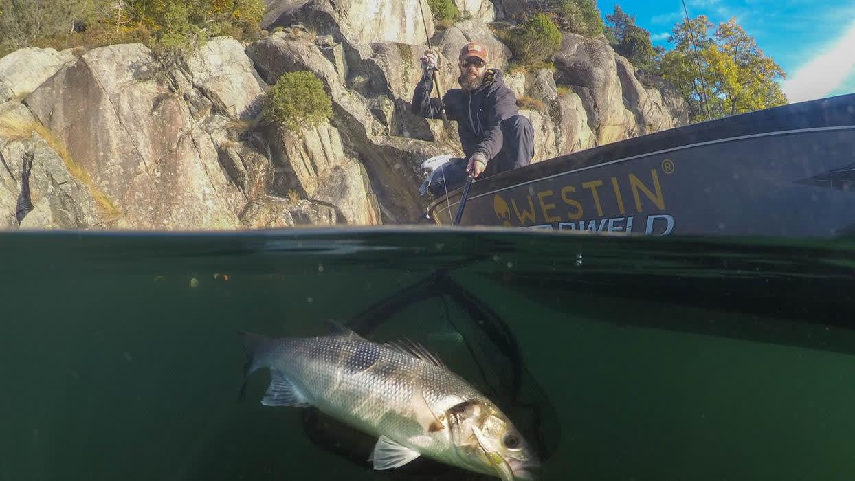 AnglerPilot Guidet fisketur og opplæring på Sørlandet