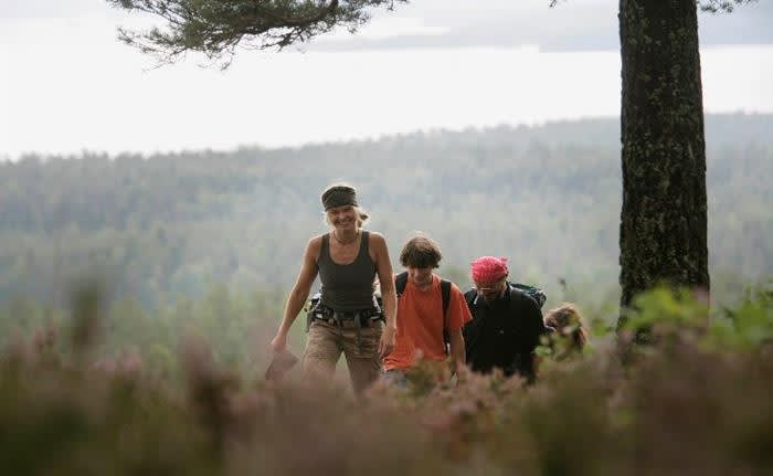 Hiking: Roundtour over Bjørnemoshøgda, Aremark