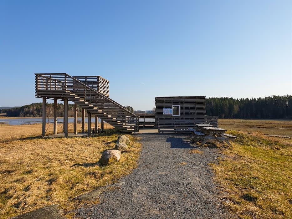 Birdwatching: The Dillevik bird tower