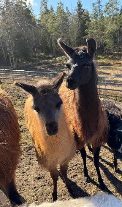 Vestre Knolden Gård