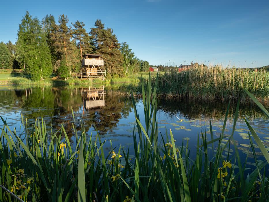 Sykkeltur: Gjølsjøen rundt