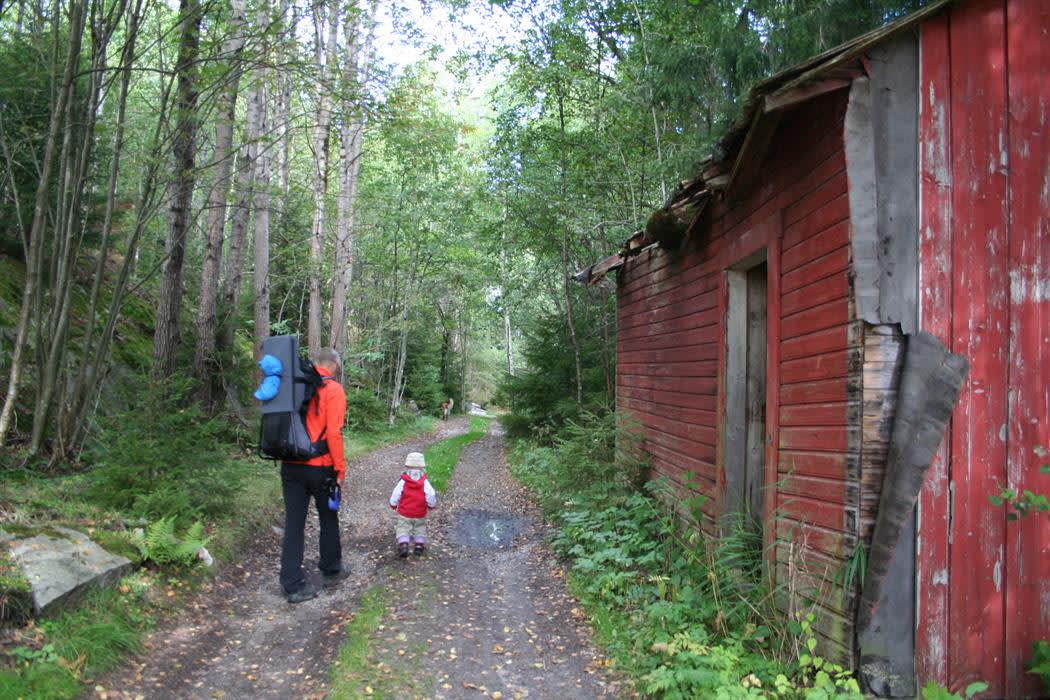 Turperler: Skriverøya - Ystehedesneset 4km