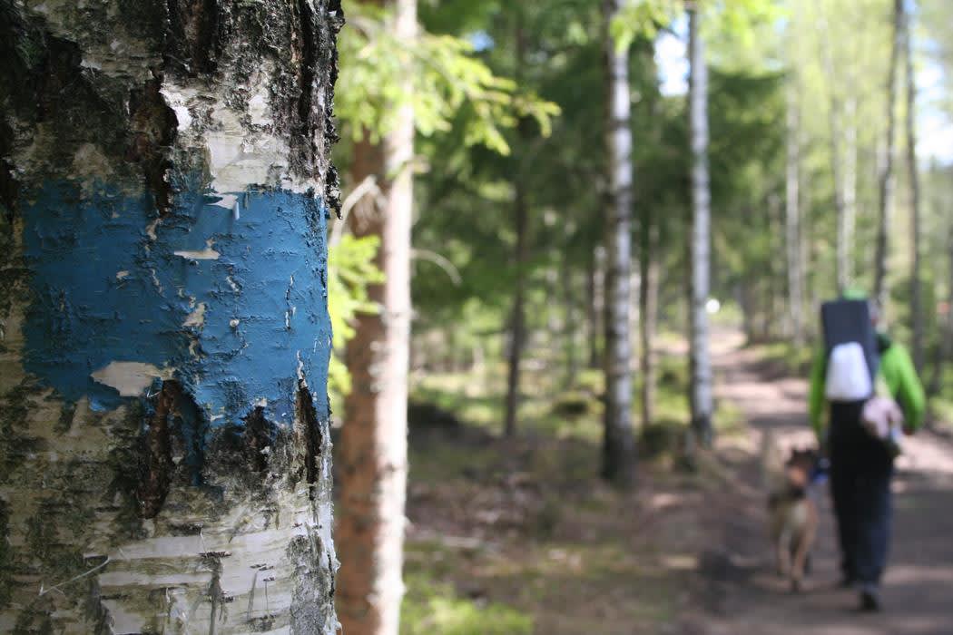 Tour pealrs: Skimtefjell, Spydeberg
