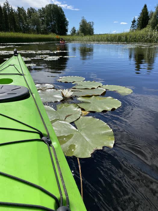 Kanoutleie på Vestre Kjærnes gård