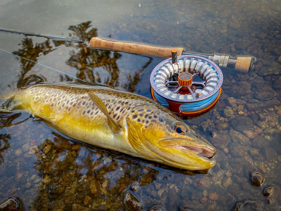 Fiske i sjø i Lindesnes