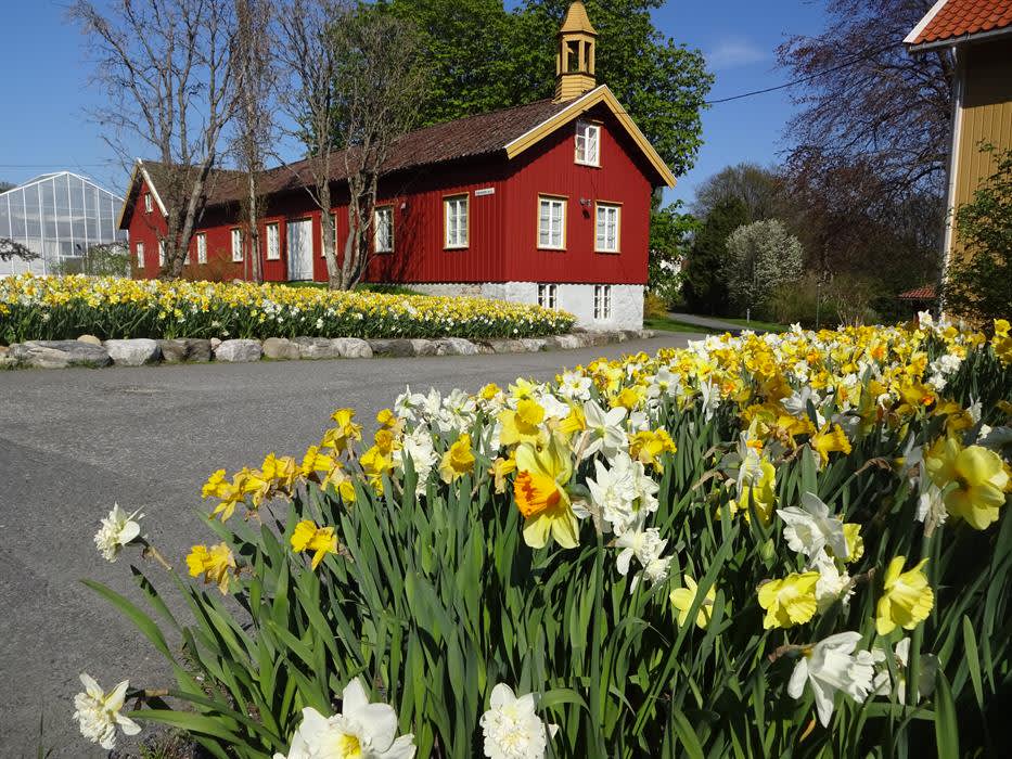 Dømmesmoen Grimstad