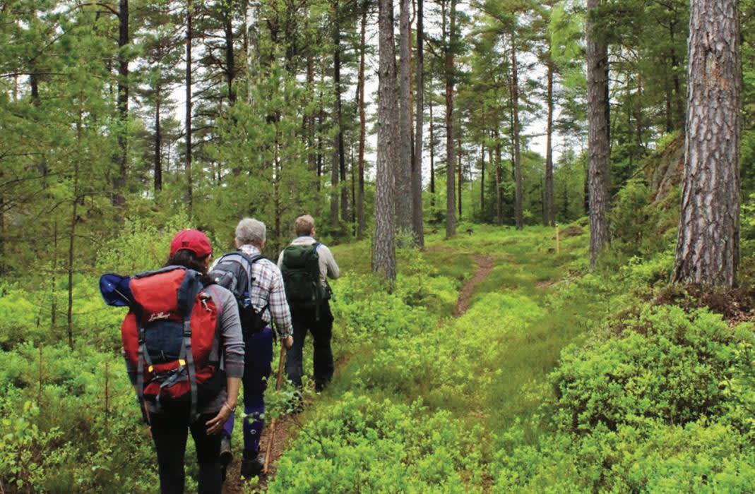 Pilegrimsleden, Ingedal - Skjeberg