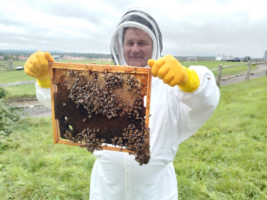 South Downs Honey
