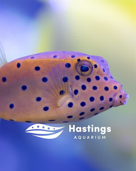 Hastings Aquarium