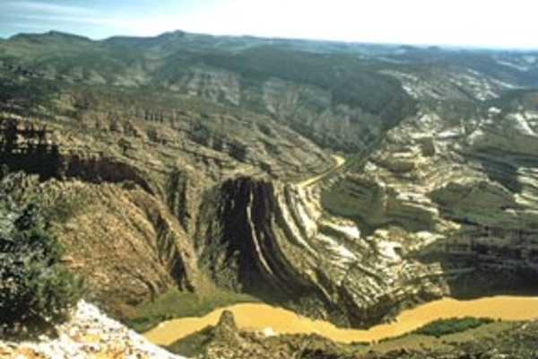 primary image