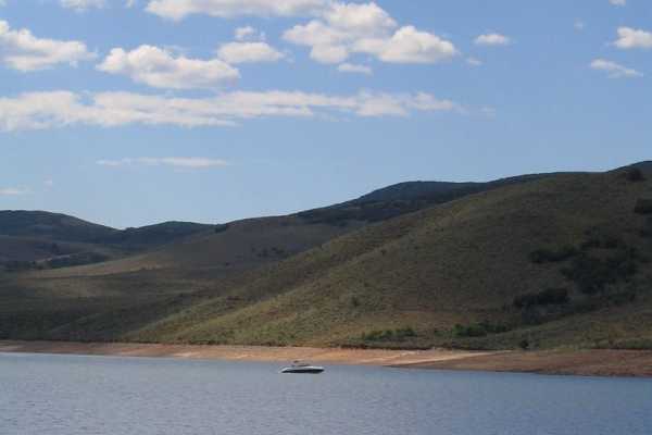 primary image