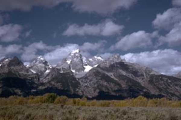 primary image