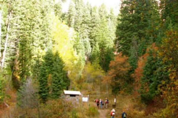 primary image