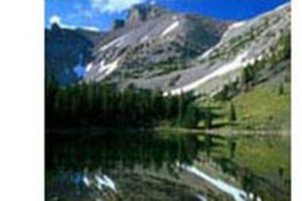 primary image