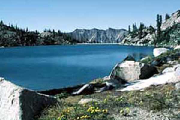 primary image