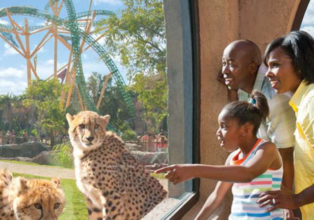 Busch Gardens Tampa Bay