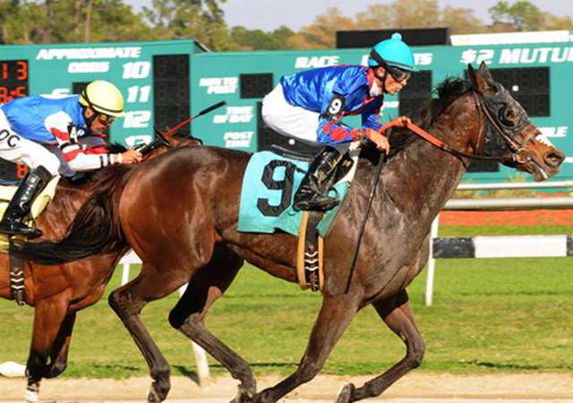 Tampa Bay Downs Casino