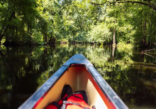 Canoeing Kayaking Paddleboarding